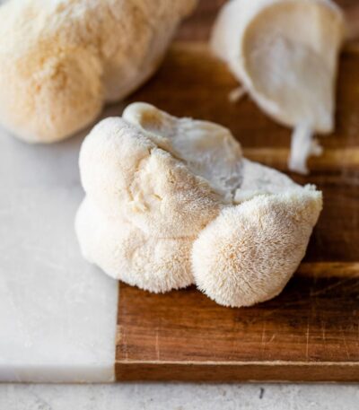 Lion's Mane