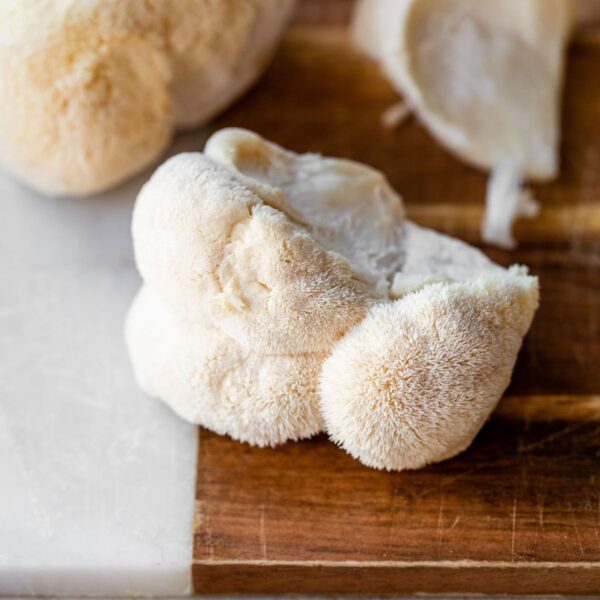 Lion's Mane