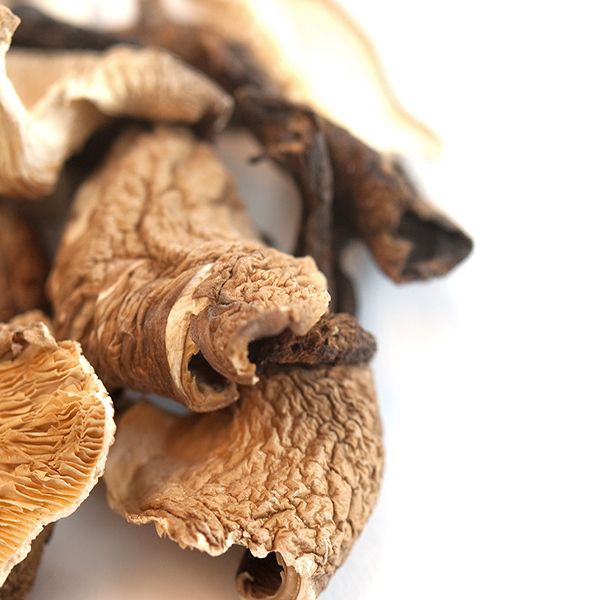 Native Forest Organic Mushrooms Pieces Native Forest Organic Mushrooms Pieces