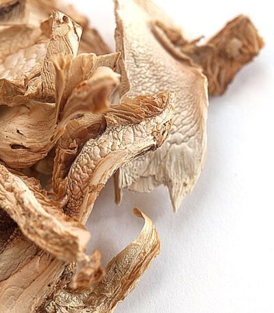 matsutake mushroom price