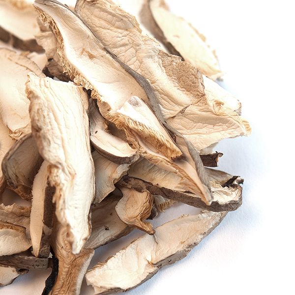 shiitake mushrooms shiitake mushrooms