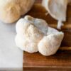 Lion’s Mane Mushroom Near Me - Shrooms For Sale