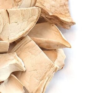 kings trumpet mushrooms -